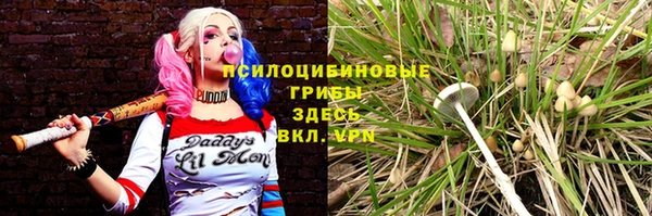 дмт Аркадак