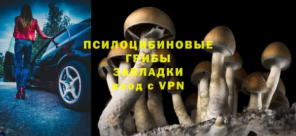 дмт Аркадак